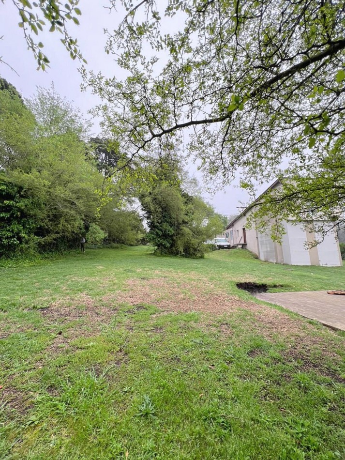 Gran lote en Sierra de los Padres.