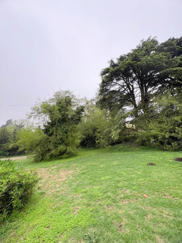 Gran lote en Sierra de los Padres.
