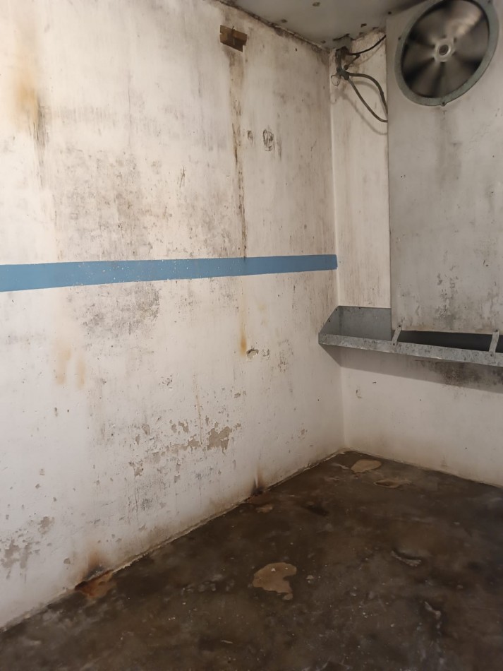 ALQUILER LOCAL COMERCIAL CON CAMARA FRIGORIFICA SOBRE AVENIDA. IDEAL VARIOS RUBROS. MUNDIALISTA